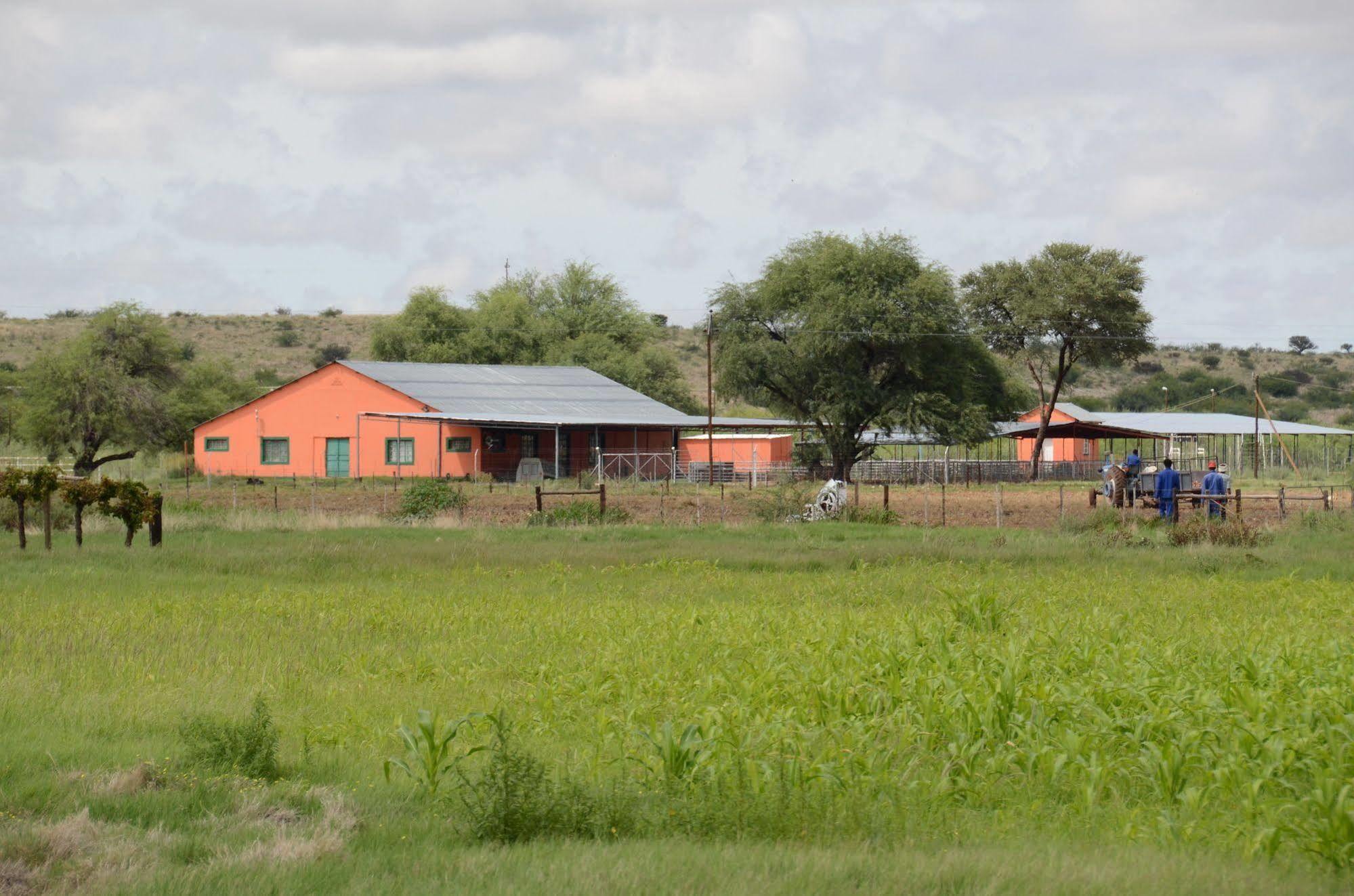 Kalahari Farmhouse, Namibia Mariental Dış mekan fotoğraf
